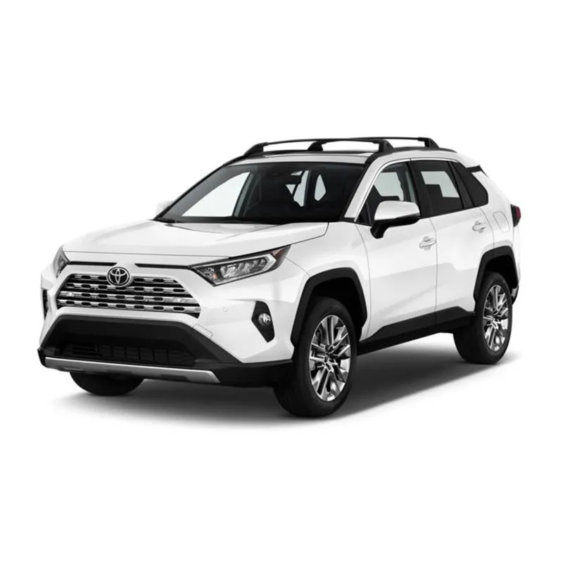 RAV4 mod. 2019-2025