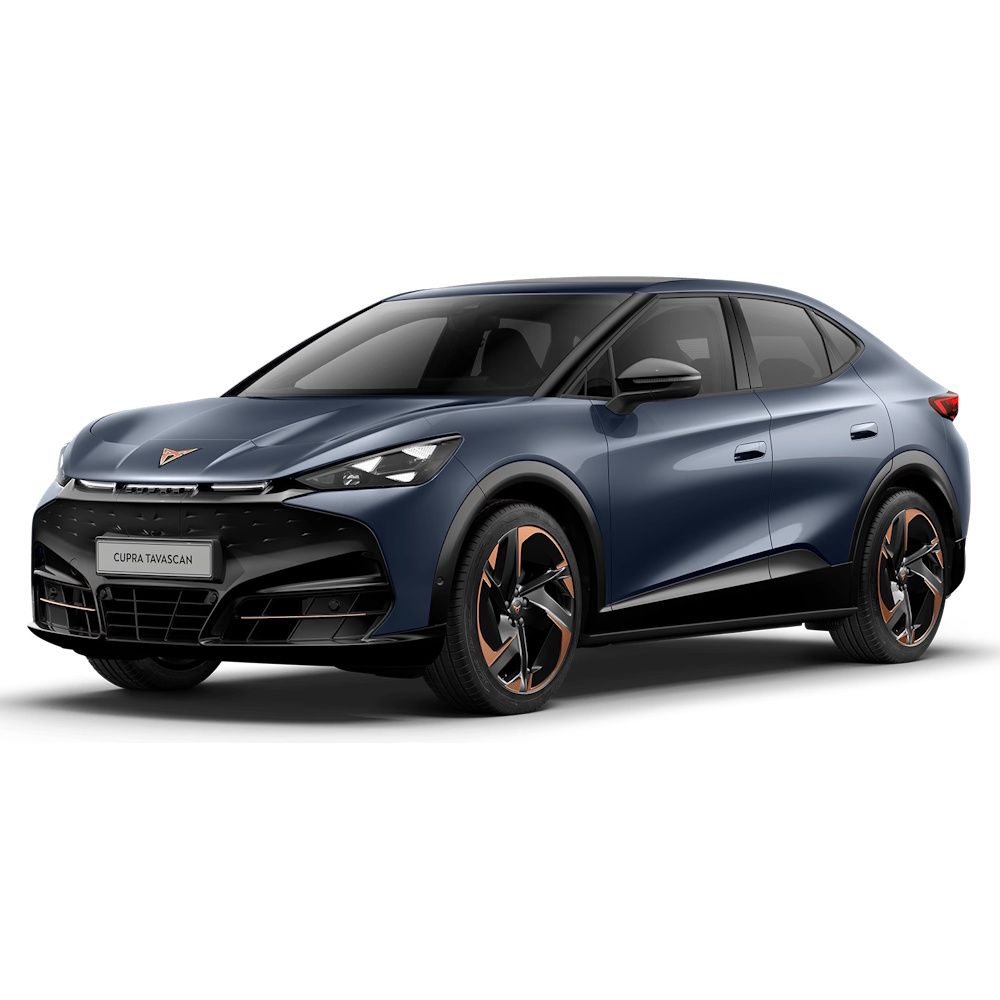 TAVASCAN mod. 2024-2026